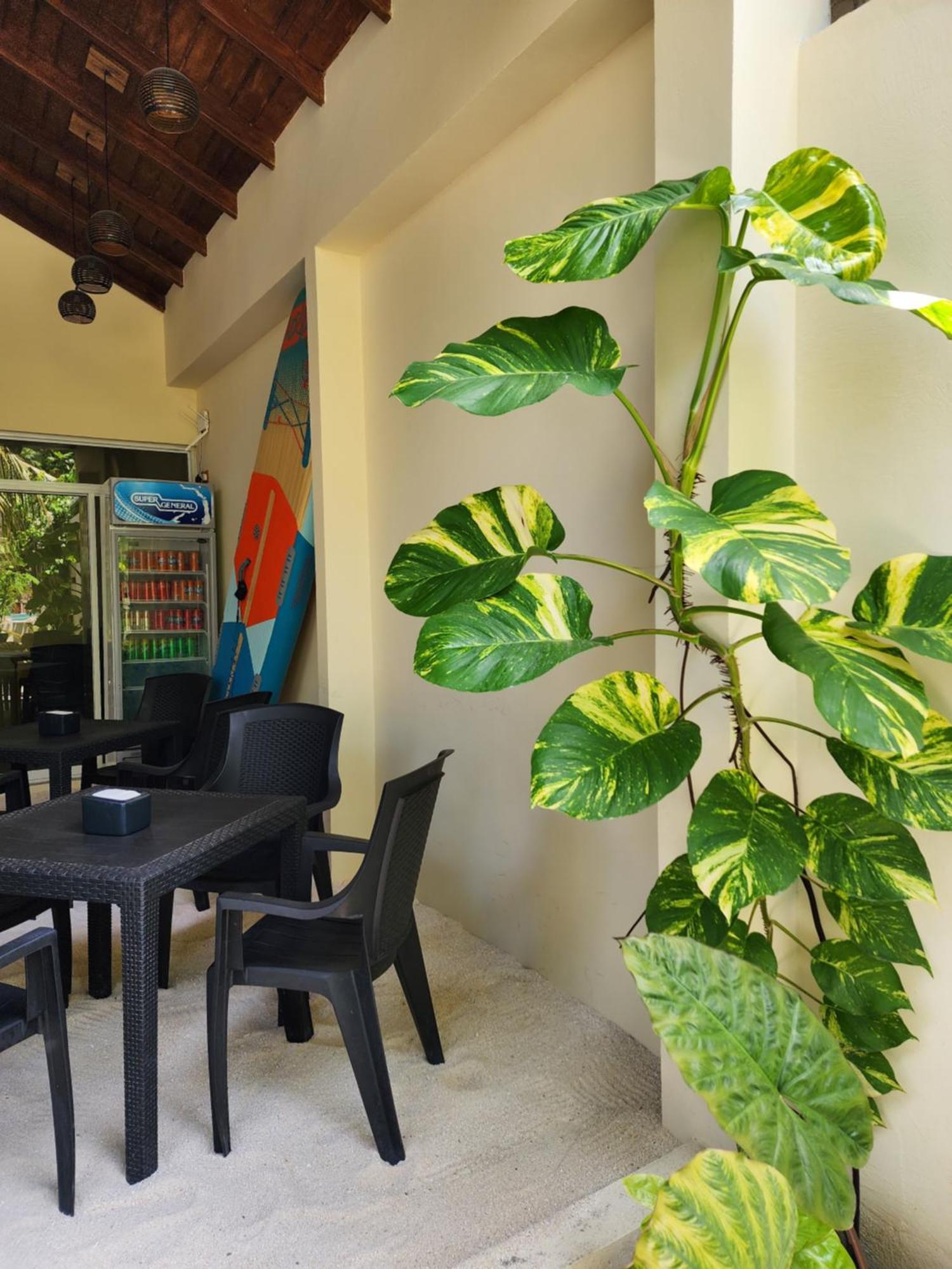 Dhigurah Dhonveli Boutique Dhigurah (Alif Dhaal Atoll) Exterior foto